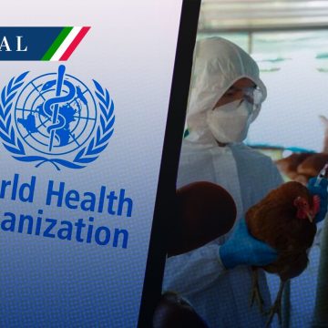 OMS y Salud aclaran que muerte de paciente en México no es atribuible a gripe aviar
