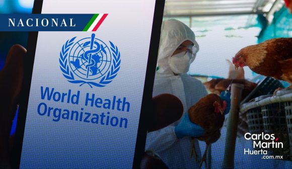 OMS - Salud - gripe aviar OMS y Salud aclaran que muerte de paciente en México no es atribuible a gripe aviar