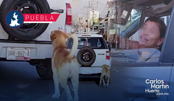 Señora abandona a su perro en las calles de Puebla; este la sigue