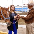 SMDIF Puebla entrega a fundación “Corcel” dos equinos para su retiro