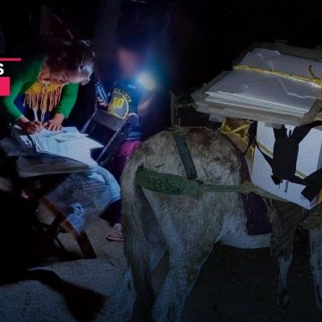 Transportan boletas del INE en una mula en Oaxaca