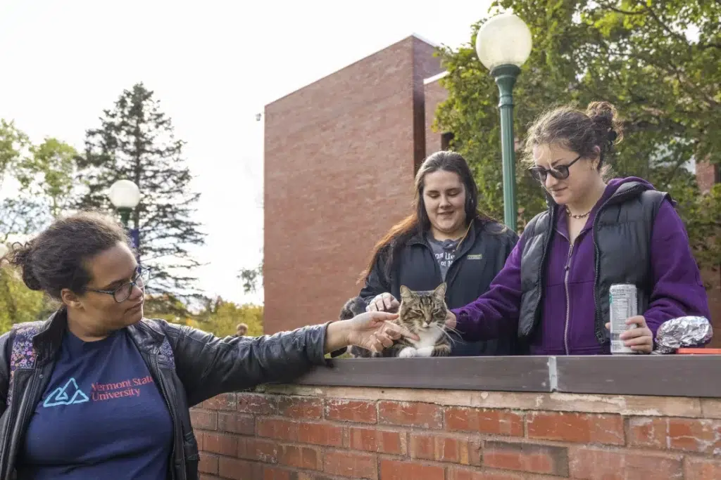 gato Max en la Universidad