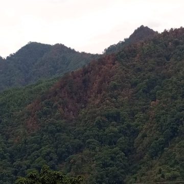 Sofocan incendios forestales de Huitzilan, Xochitlán y Tlahuapan