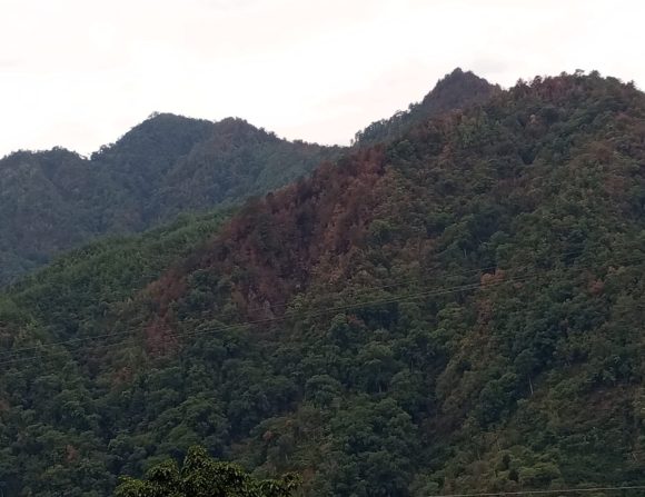 Sofocan incendios forestales de Huitzilan, Xochitlán y Tlahuapan