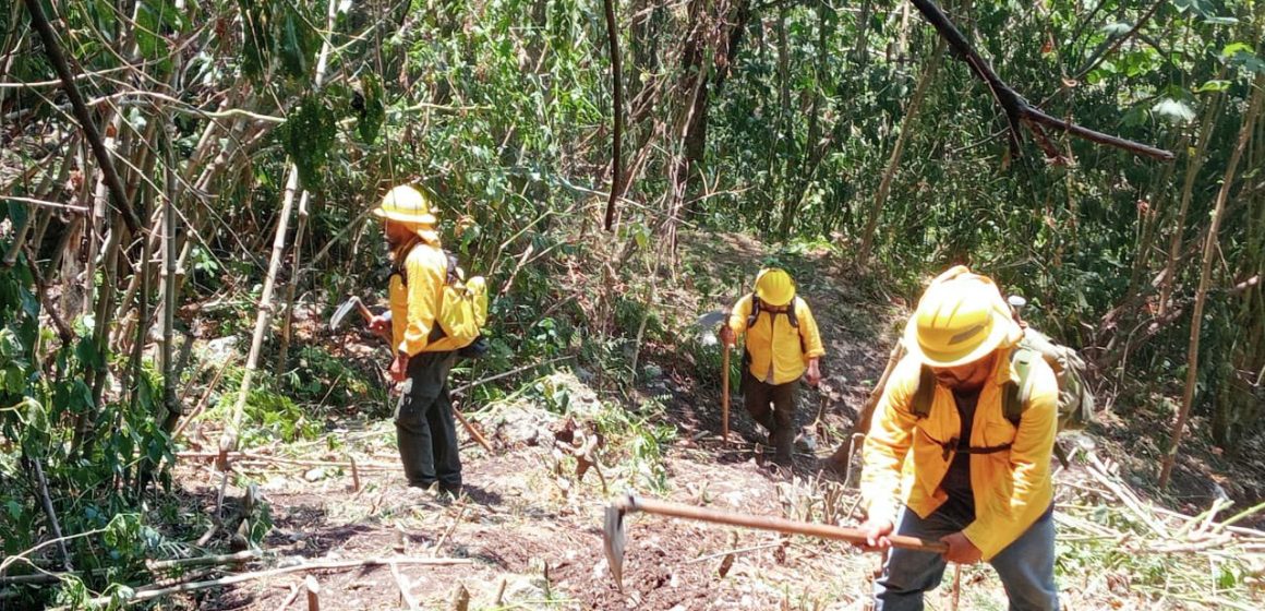 Llama gobernador a denunciar a quienes provoquen incendios