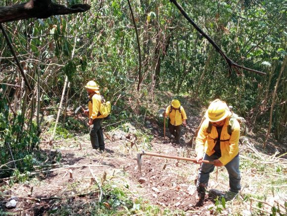 CNPC y Conafor coordinan estrategias de prevención para la temporada de incendios forestales 2025