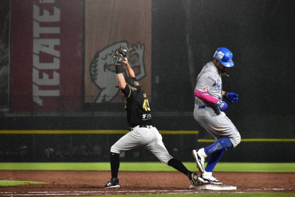 Los Acereros apalearon a los Pericos y se quedaron con la serie en el Hermanos Serdán