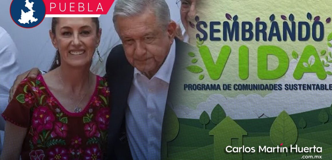 AMLO y Sheinbaum visitarán Puebla para evaluar el programa Sembrando Vida