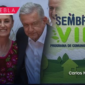 AMLO y Sheinbaum visitarán Puebla para evaluar el programa Sembrando Vida