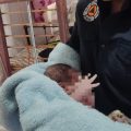 Paramédicos auxilian en nacimiento de bebé en Granjas de San Isidro