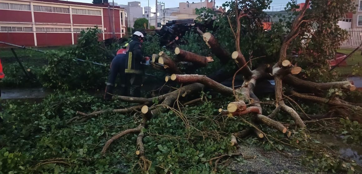 Árboles caídos y avenidas inundadas afectaciones de las fuertes lluvias en Puebla