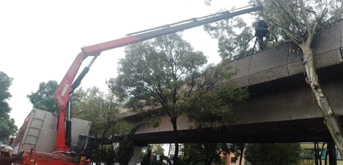 Lluvia en CDMX provoca caída de árboles, retraso en vuelos y afectaciones en el Metro