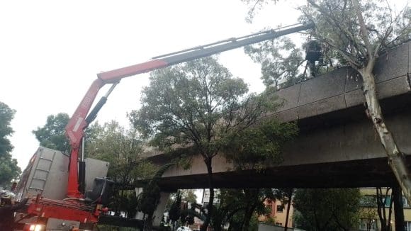 Lluvia en CDMX provoca caída de árboles, retraso en vuelos y afectaciones en el Metro