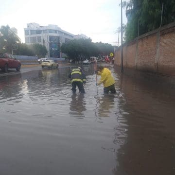 Lluvia en Puebla capital causa caída de un árbol e inundaciones