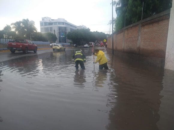 Lluvia en Puebla capital causa caída de un árbol e inundaciones
