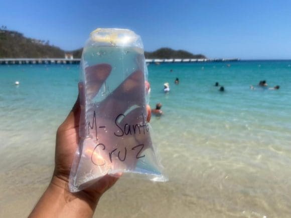 ¿Vas a la playa? Cofepris alerta sobre las que son un riesgo para la salud