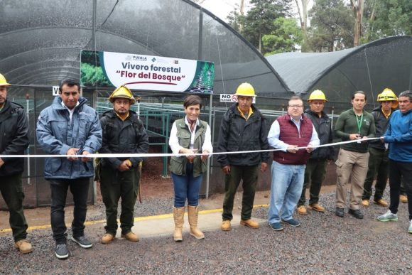 Con una inversión de 5 mdp  Inauguran vivero en Flor del Bosque