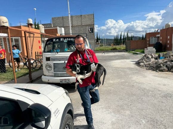 62b300f8-ff64-46eb-9650-eb3468b8078f Asegura IBA a perrito encadenado a combi en Amozoc