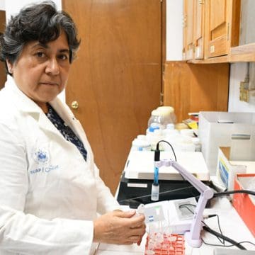 Académica BUAP propone usar arcillas para adsorber micotoxinas, un hongo que afecta al maíz