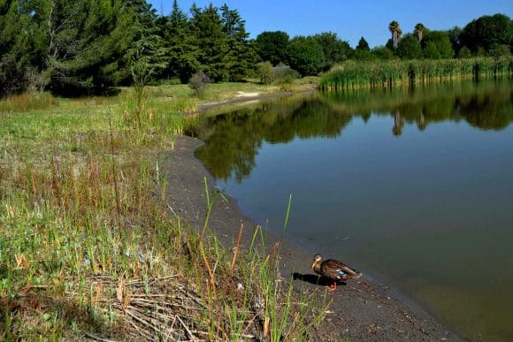 C Concurso_2 Invita BUAP al 5º Concurso de Proyectos de Emprendimiento Social Sostenible