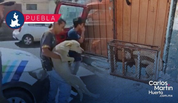 Encierran a perrito en jaula durante días en el Circuito Juan Pablo II; ya fue rescatado