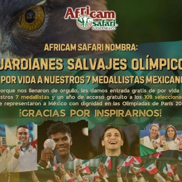 Africam Safari reconoce a los medallistas olímpicos mexicanos; les otorga acceso vitalicio