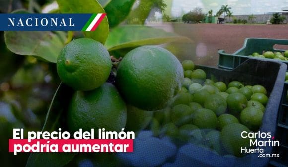 Prevén alza del limón por extorsión a productores en Michoacán