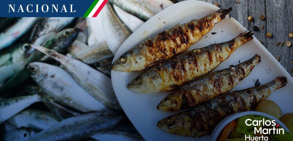 Sardina se ubica como el producto del mar más consumido en  México