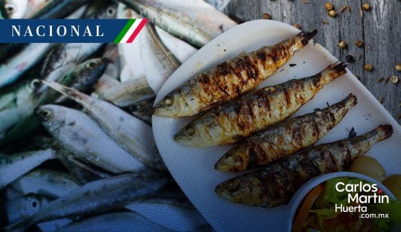 Sardina se ubica como el producto del mar más consumido en  México