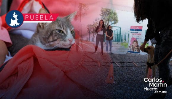 Esterilización, vacunación, consultas y más; inicia la semana del bienestar animal en Puebla