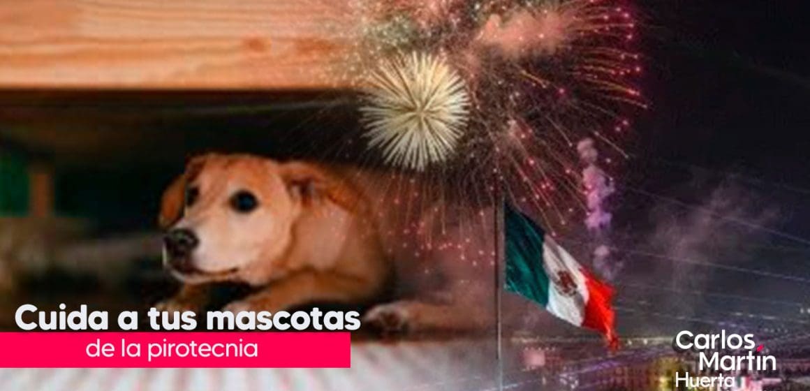 En estas fiestas patrias, cuida a tu mascota de la pirotecnia