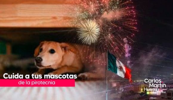 En estas fiestas patrias, cuida a tu mascota de la pirotecnia