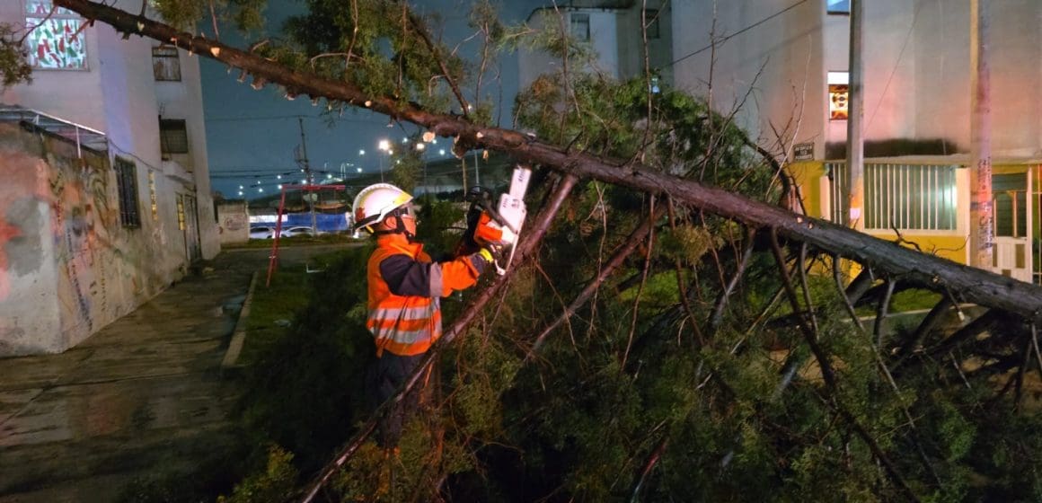 Se registran caída de árboles, avenidas inundadas y carreteras dañadas tras intensa lluvia