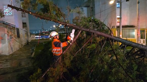 Se registran caída de árboles, avenidas inundadas y carreteras dañadas tras intensa lluvia