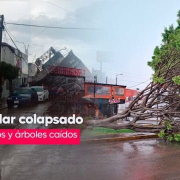 Un espectacular colapsado, vehículos varados y árboles caídos, saldo de la lluvia de este martes