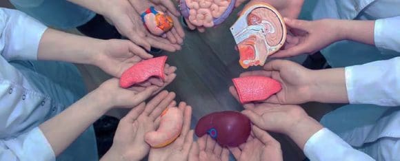 Durante 2024, 221 pacientes fueron beneficiados con donación de órganos en Puebla