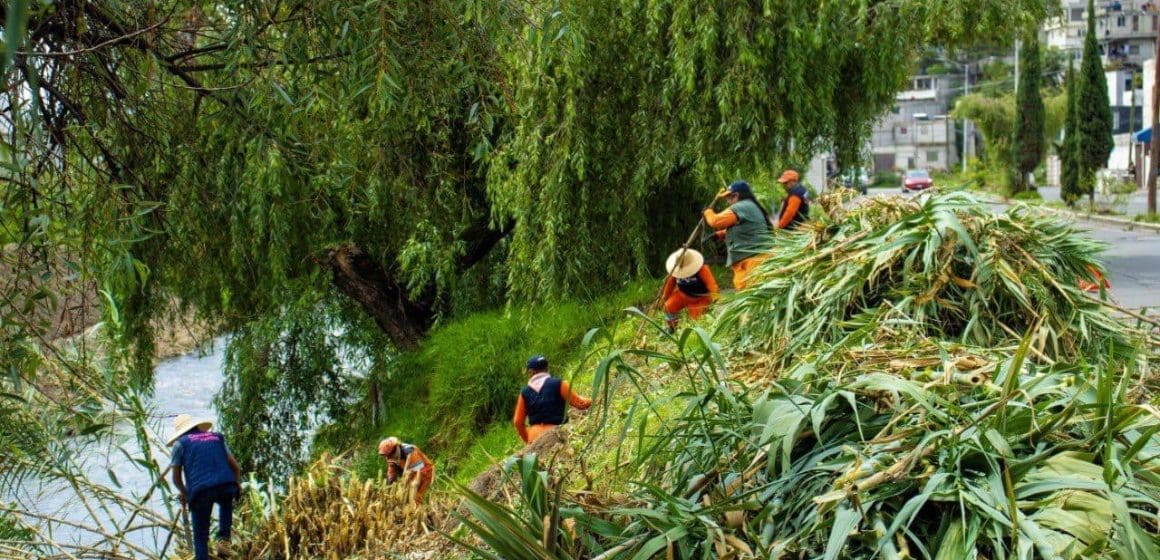 El Organismo Operador de Limpia ha atendido 48 barrancas y vasos reguladores