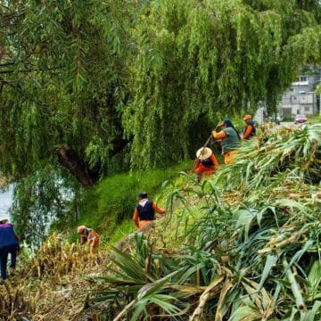 El Organismo Operador de Limpia ha atendido 48 barrancas y vasos reguladores