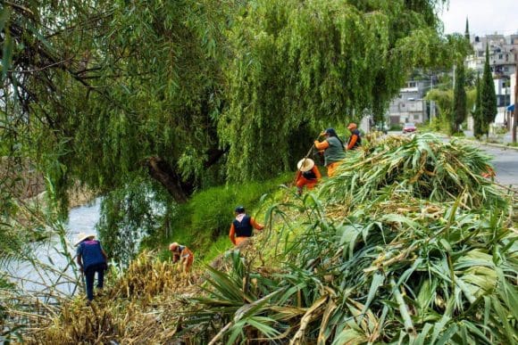 El Organismo Operador de Limpia ha atendido 48 barrancas y vasos reguladores