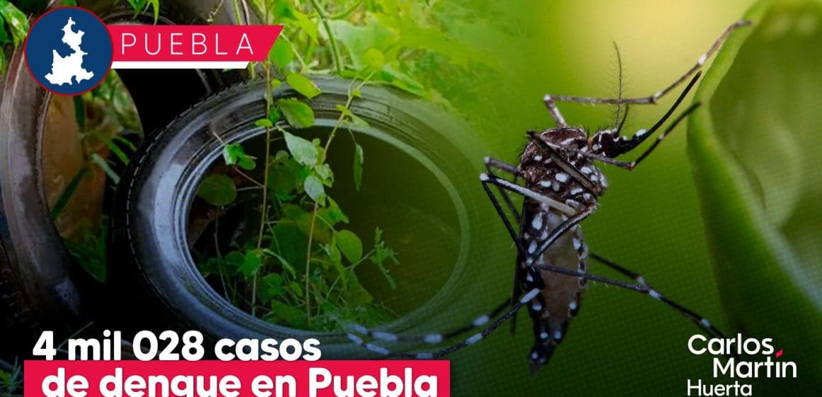 Acumula Puebla 4 mil 028 casos de dengue en lo que va del 2024