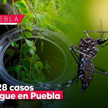 Acumula Puebla 4 mil 028 casos de dengue en lo que va del 2024