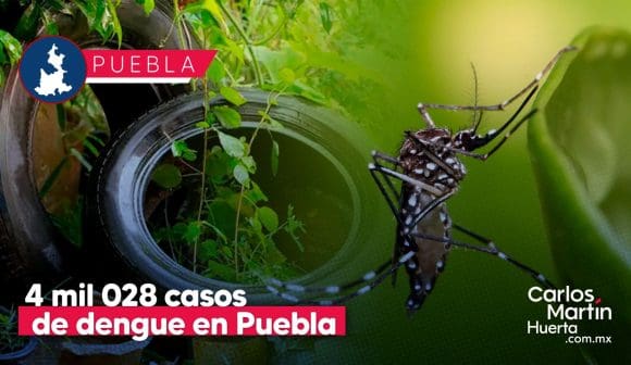 Acumula Puebla 4 mil 028 casos de dengue en lo que va del 2024