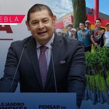Alejandro Armenta entrega más de 3 mil árboles con programa “Sembremos Esperanza”