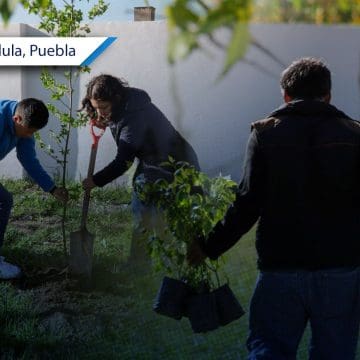 Arrancan Jornada de Reforestación en San Andrés Cholula