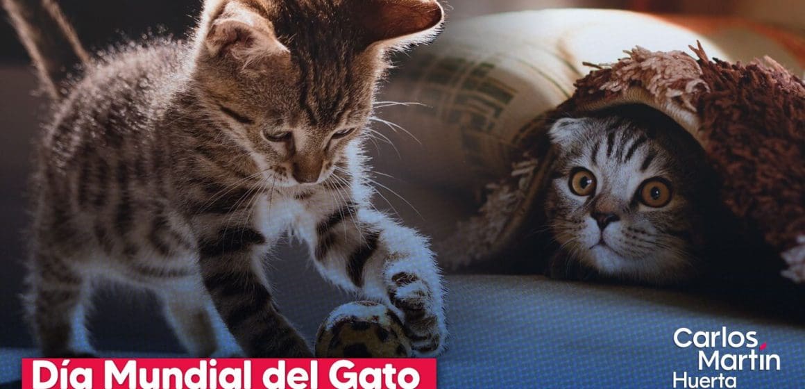 Día del Gato: Tres fechas para celebrar a nuestros compañeros felinos