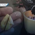 Entregan gomitas con espinas a niños de Cholula