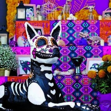 Ofrenda de Día de Muertos para mascotas