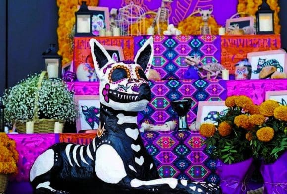 Ofrenda de Día de Muertos para mascotas