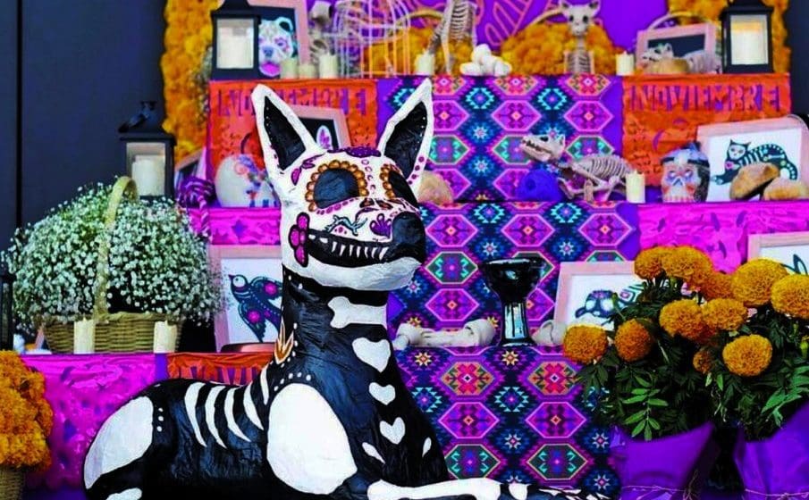 Ofrenda de Día de Muertos para mascotas