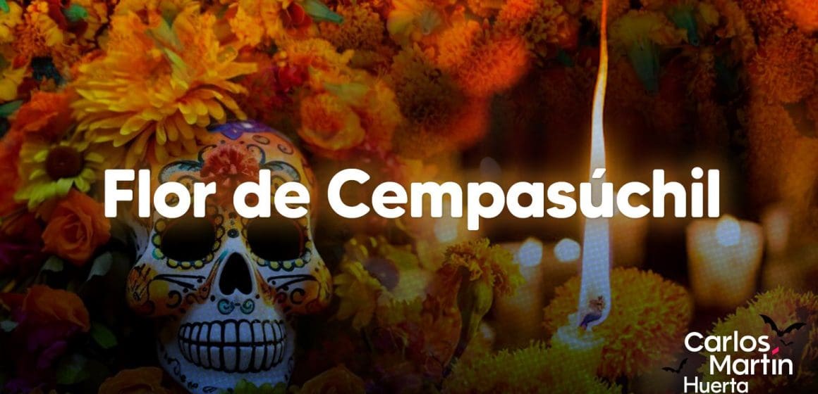 Cempasúchil: La flor que ilumina el camino en el Día de Muertos